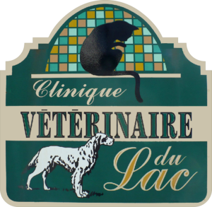 Clinique Vétérinaire du Lac